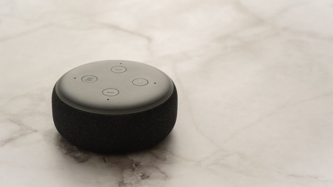 The ultimate guide to Amazon Alexa Etherions