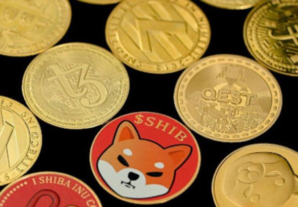What to Look for When Evaluating New Meme Coin Projects