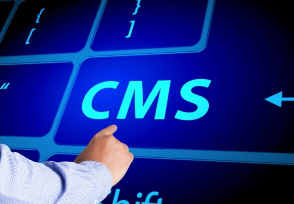 How to Structure Content for Multilingual Delivery in Headless CMS