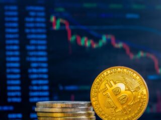 Image - 2025-11-29T103411.054