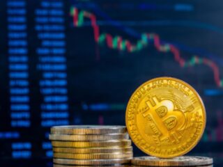 untitled design - 2025-11-26T120342.019